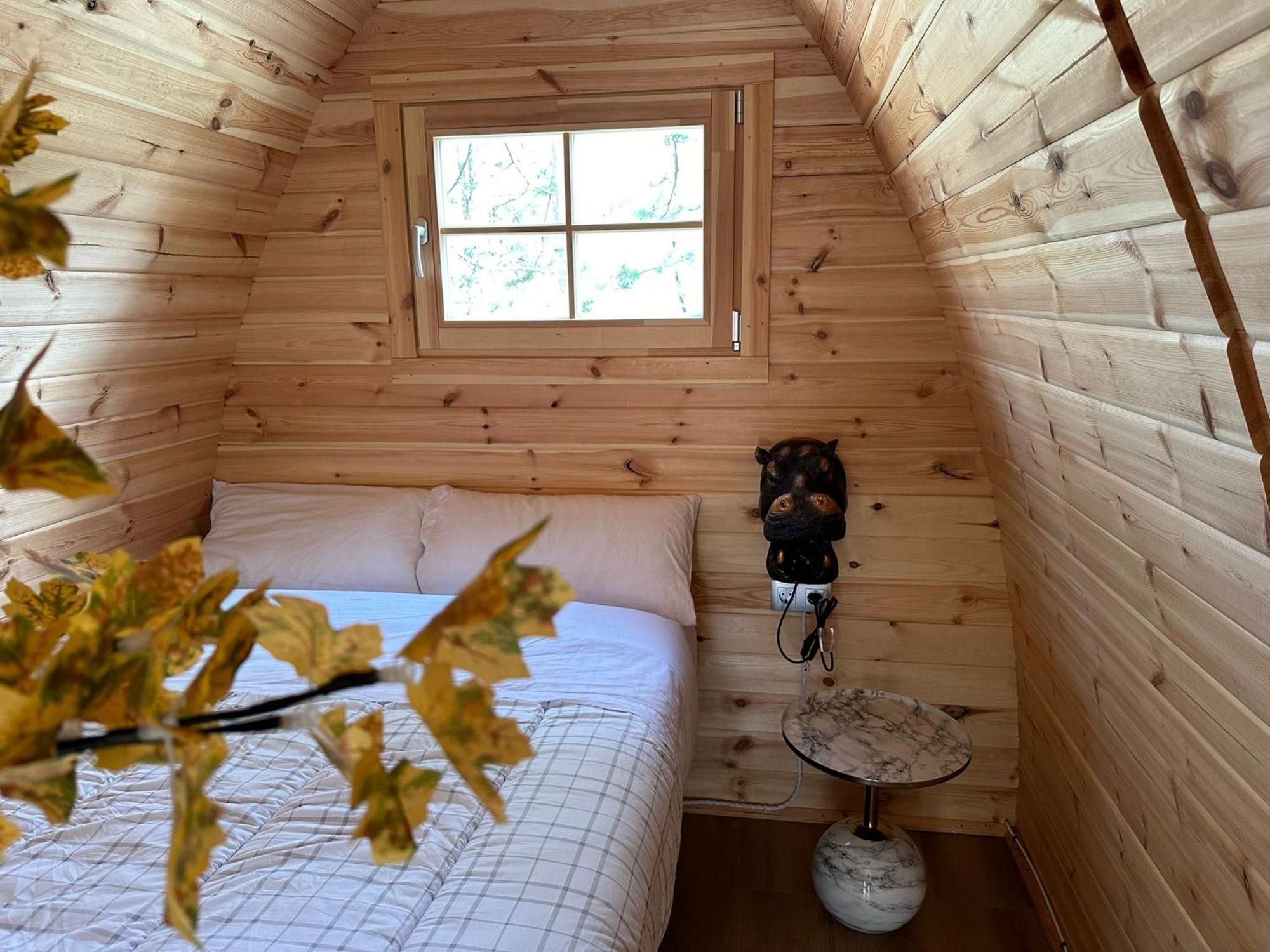 Camping Ripolles Zewnętrze zdjęcie