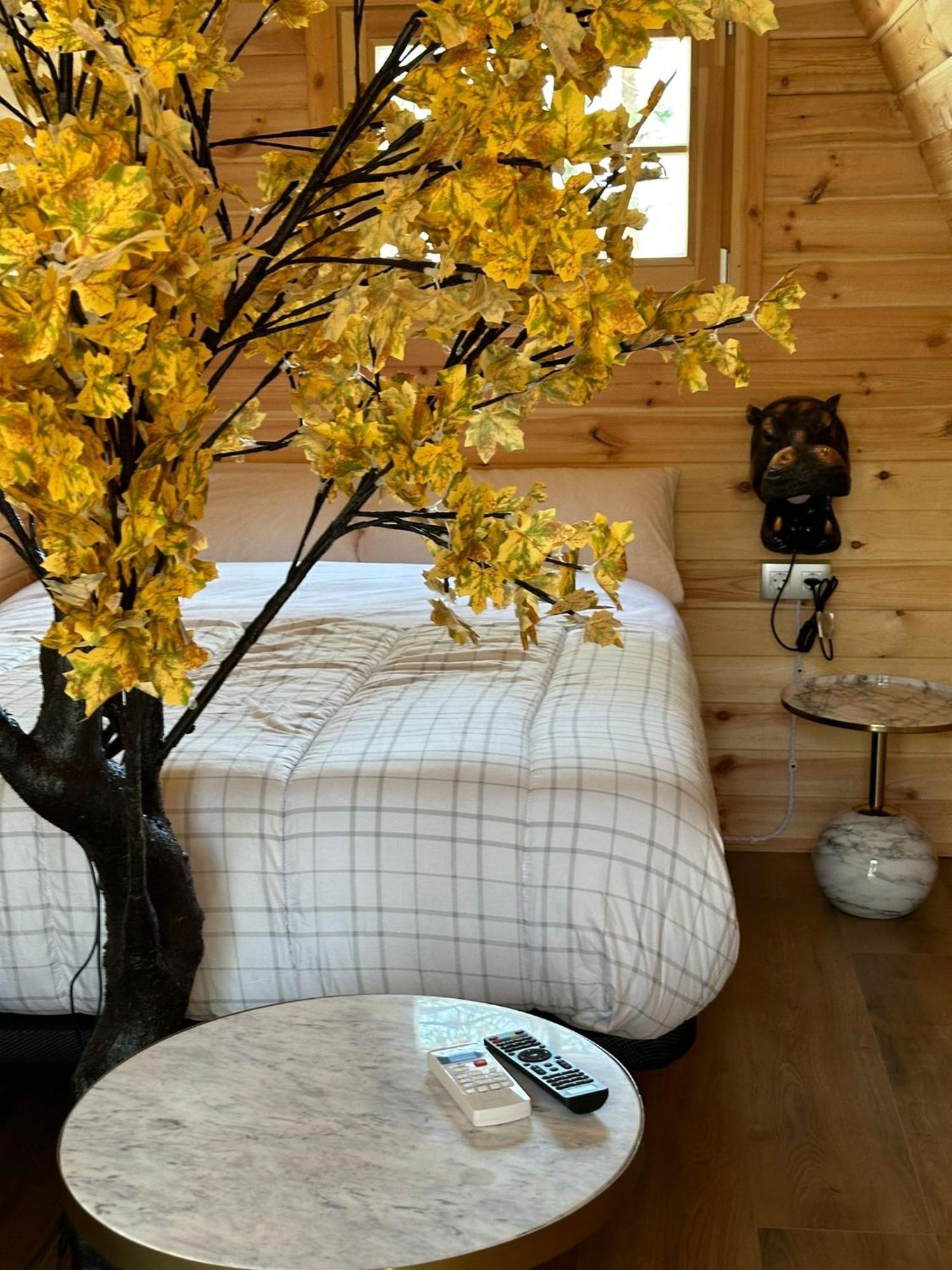 Camping Ripolles Zewnętrze zdjęcie