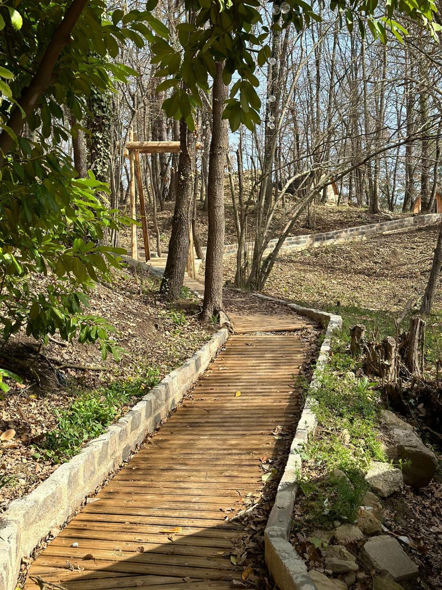 Camping Ripolles Zewnętrze zdjęcie