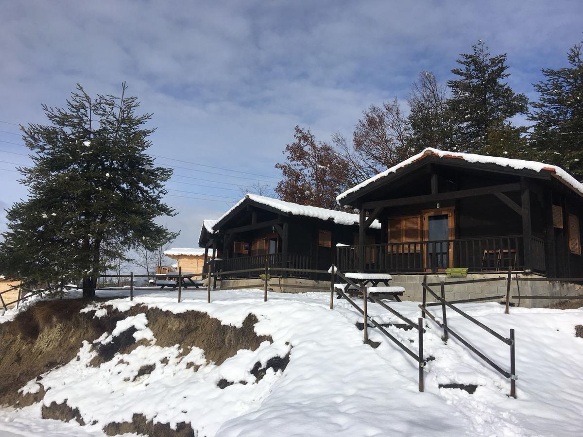 Camping Ripolles Zewnętrze zdjęcie