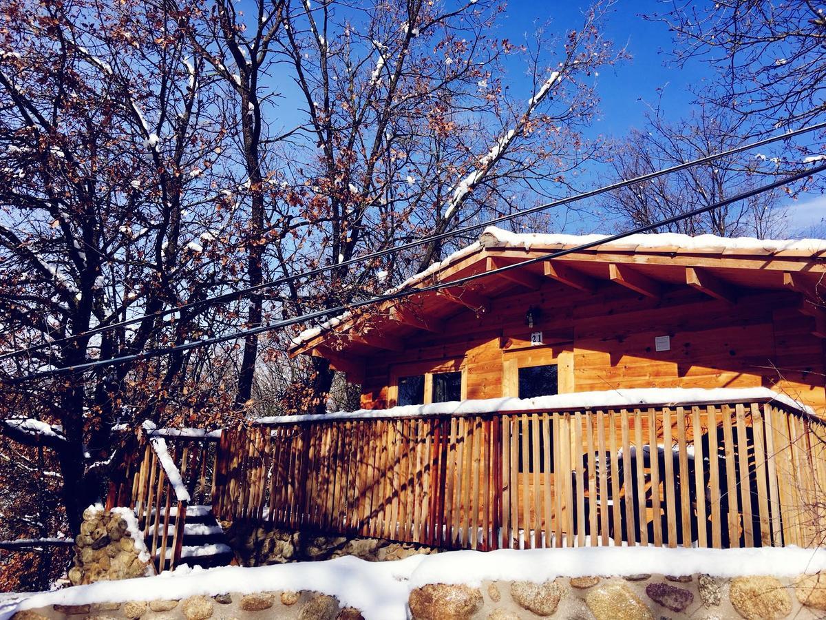 Camping Ripolles Zewnętrze zdjęcie